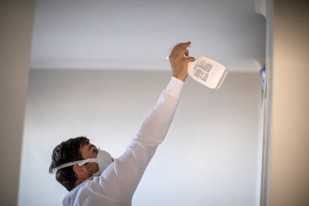 Best Commercial Mold Remediation in Farmington, IL