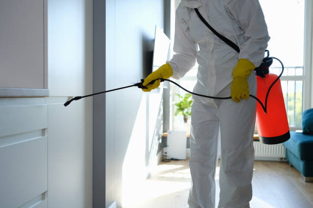 Best Residential Mold Remediation in Farmington, IL