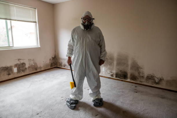 Best Mold Remediation for Specific Building Types in Farmington, IL